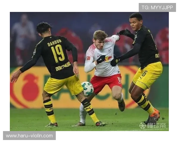 维尔茨与谢尔基数据对比：造球成本差距分析